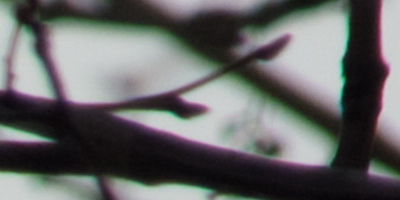 Fujifilm X-S1: jedinečný