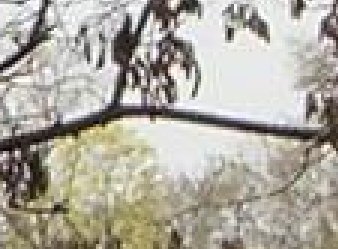 Casio Exilim EX-Z850: Dobře vybavený expres