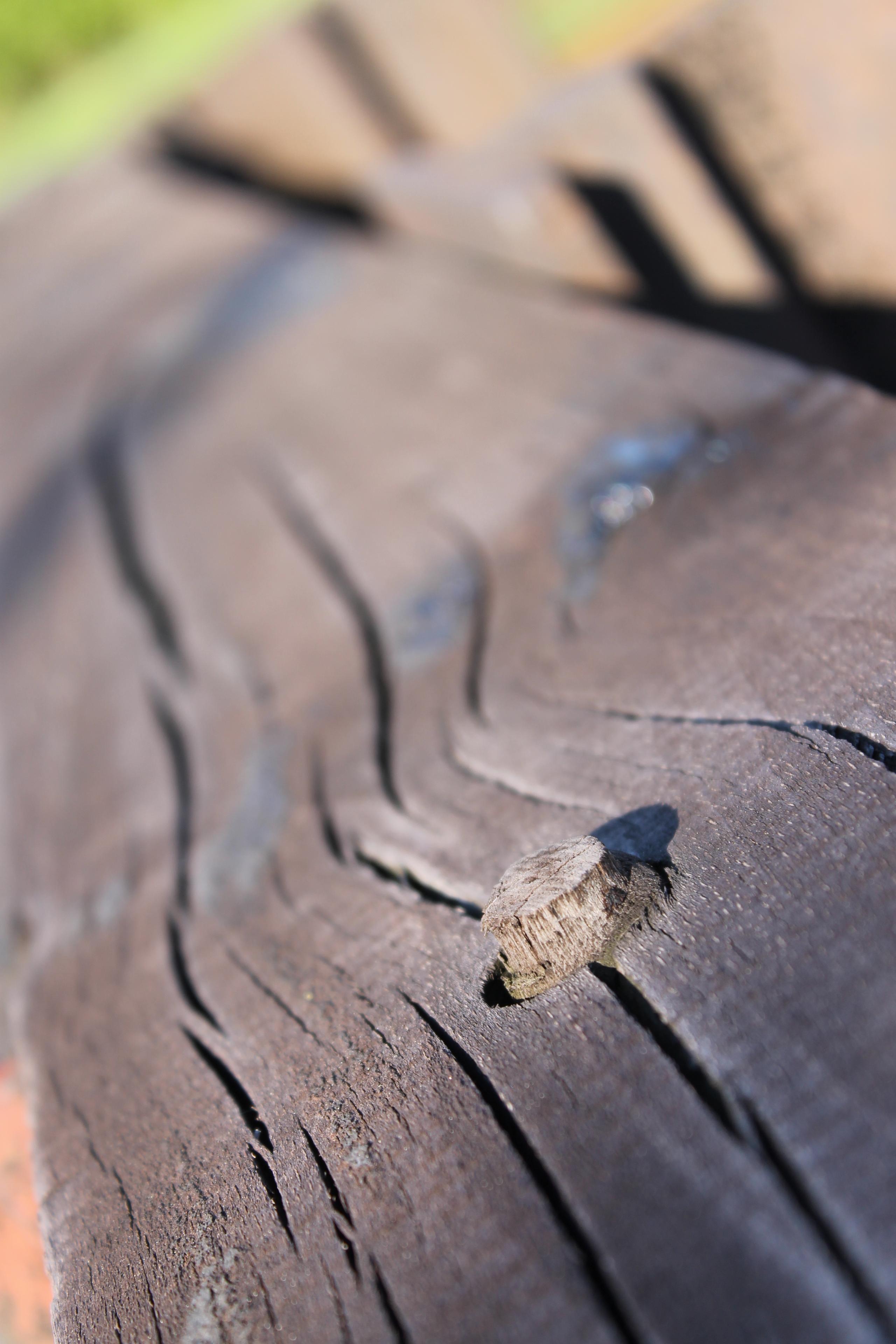 Canon EOS 1100D: vstup do světa DSLR