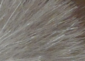 Samsung WB210: dotkněte se 21 milimetrů!