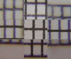 Panasonic LUMIX G VARIO 7-14mm F4.0