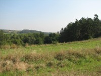 Canon PowerShot S2 IS: dvanáctinásobné oko Canonovo