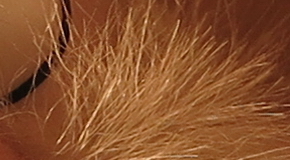 Canon PowerShot G1 X Mark II: významné zlepšení