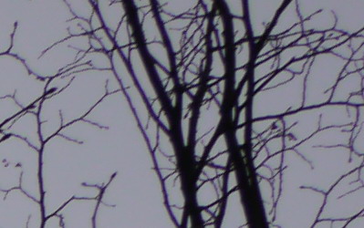 Panasonic LUMIX G VARIO 7-14mm F4.0