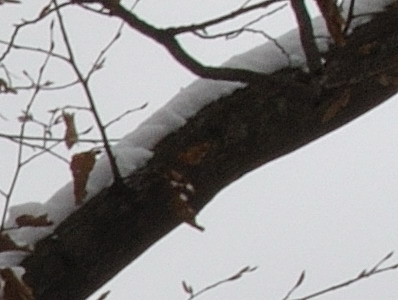 Dva objektivy nebo jeden ultrazoom?