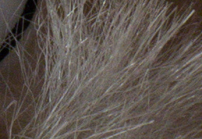 Sony SLT-A58: silný základ