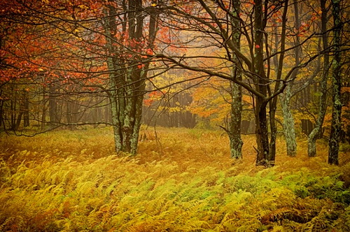 Nik Color Efex Pro 4: oblíbené filtry počtvrté