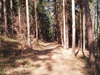 Olympus Camedia C-470 Zoom: Americký D-590