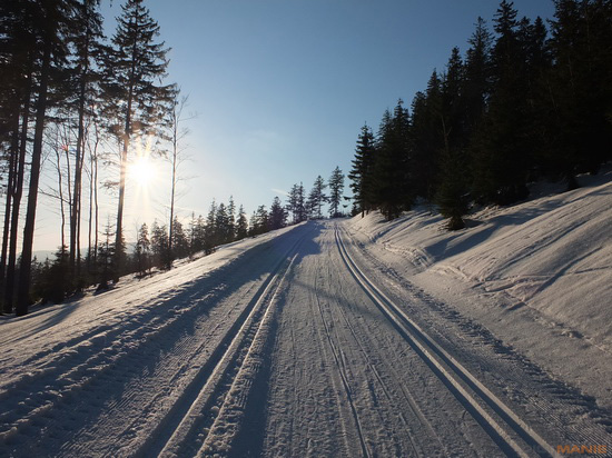 Fujifilm X-S1: jedinečný