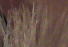 Samsung NX20: za více peněz více muziky