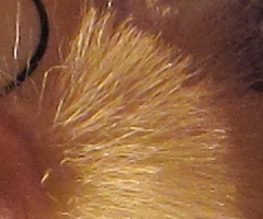 Canon IXUS 300 HS: superstylovka i pro náročné