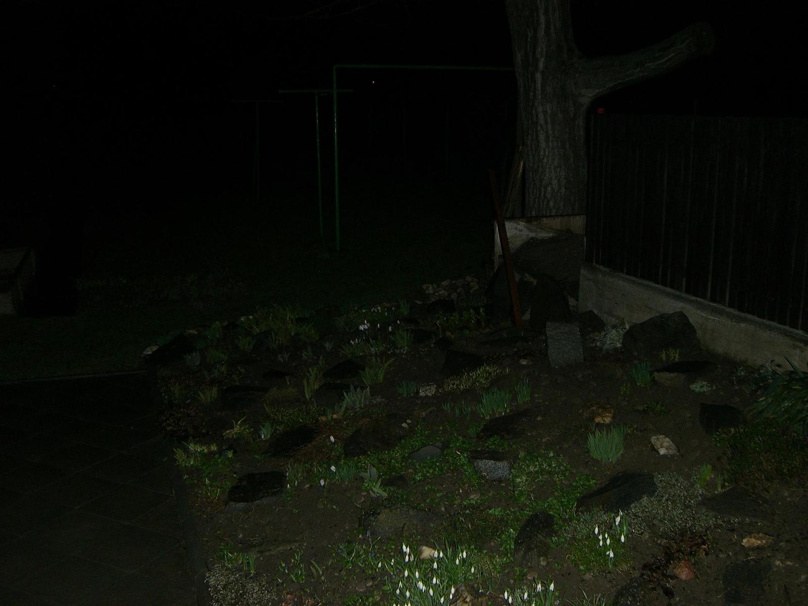 Casio Exilim Card EX-S600: Asijský plátek na fotografický způsob