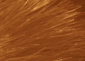 Sony Alpha SLT-A35: úspěšně proti zrcadlovkám