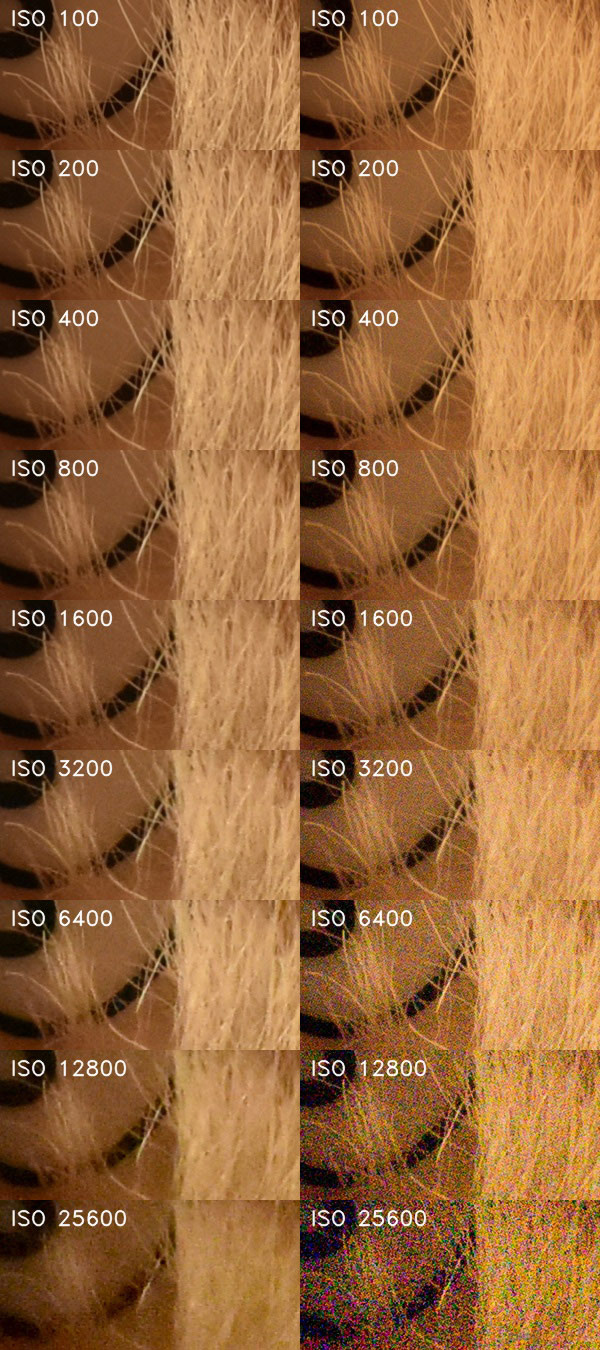 Nikon D3400: moderní low-end