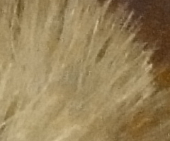 Sony Cyber-shot HX5: pan téměř dokonalý