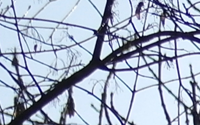 Samsung 60mm F2.8 Macro ED OIS SSA