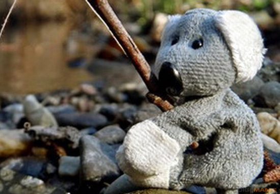 Fotíme s Koalou: Software, RAWy, obrazové formáty