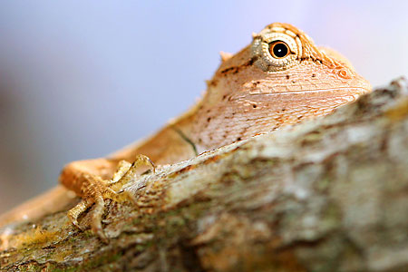 DSLR na cestě časem - 17. díl