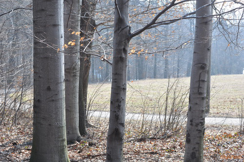 Dva objektivy nebo jeden ultrazoom?