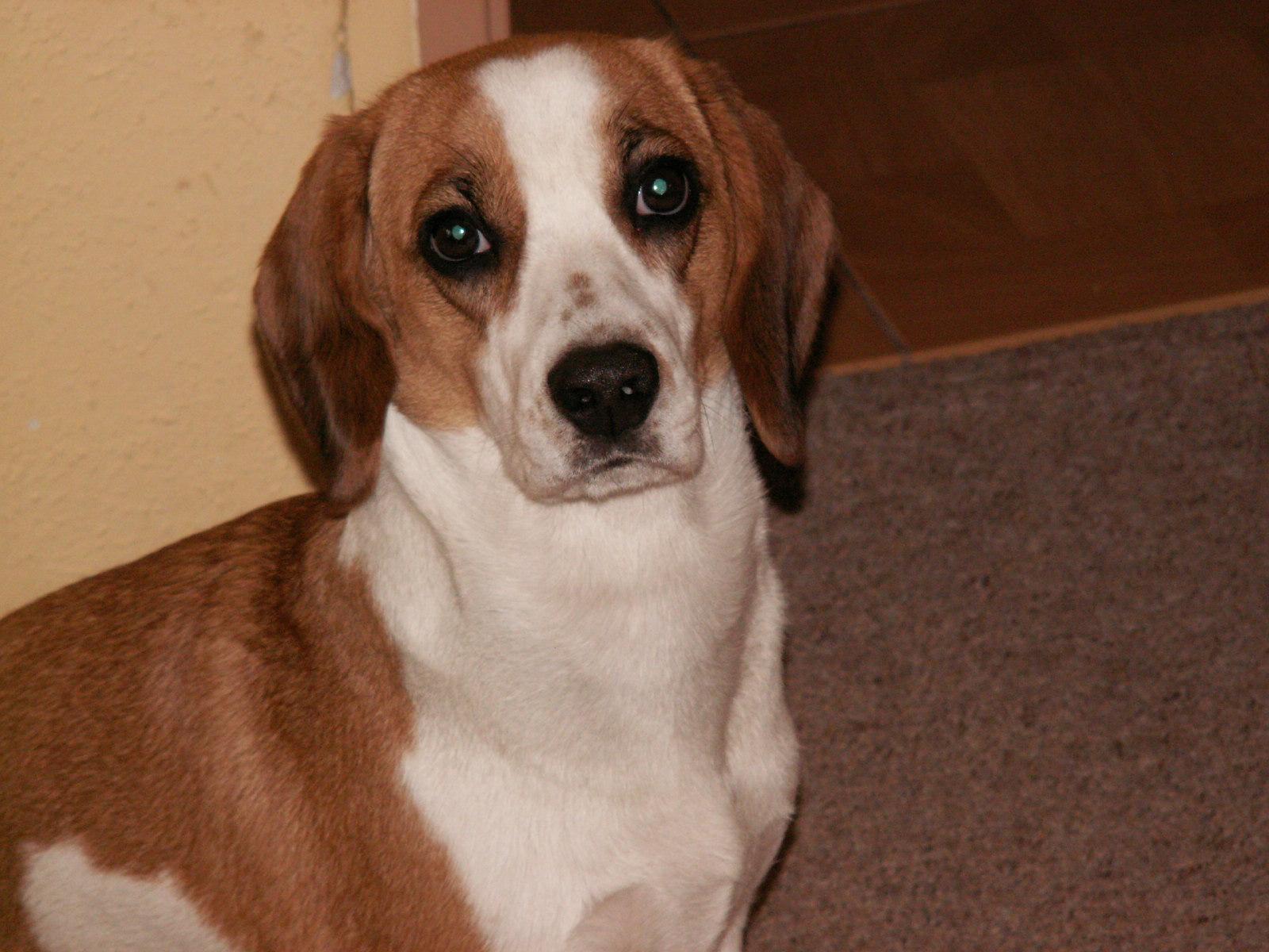 DiMAGE Z5: stabilních pět milionů