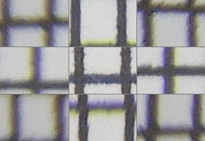 Nikon Coolpix B700: přírodovědec