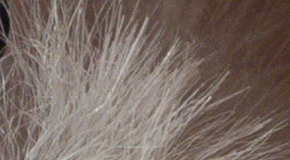 Sony Cyber-shot RX100 III (RX100M3): superSony