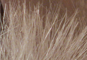 Canon PowerShot G15: lépe už to (asi) nepůjde