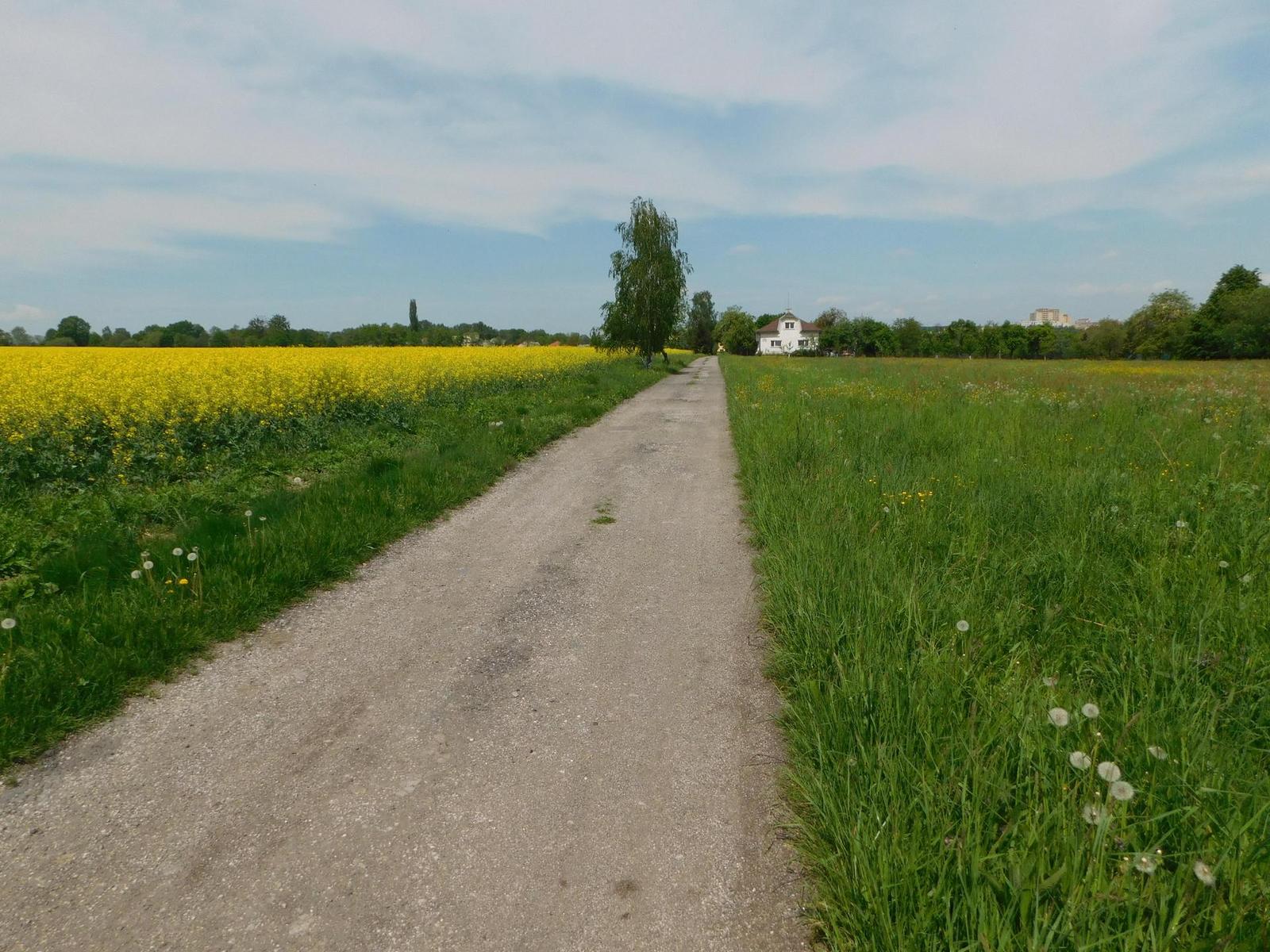 Nikon Coolpix L840: makroborec s 38x zoomem