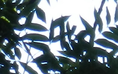 Nikon Coolpix P500: univerzální dalekohled