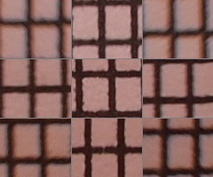 Olympus M.Zuiko Digital 40-150 mm F4-5,6 + nová R verze