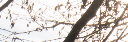 Panasonic Lumix G Vario 35-100mm F4-5.6 MEGA O.I.S.