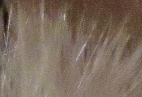 Canon PowerShot G15: lépe už to (asi) nepůjde