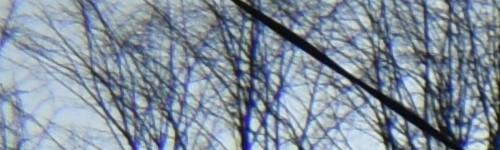 Nikon AF-P NIKKOR 18-55mm f/3.5-5.6G VR