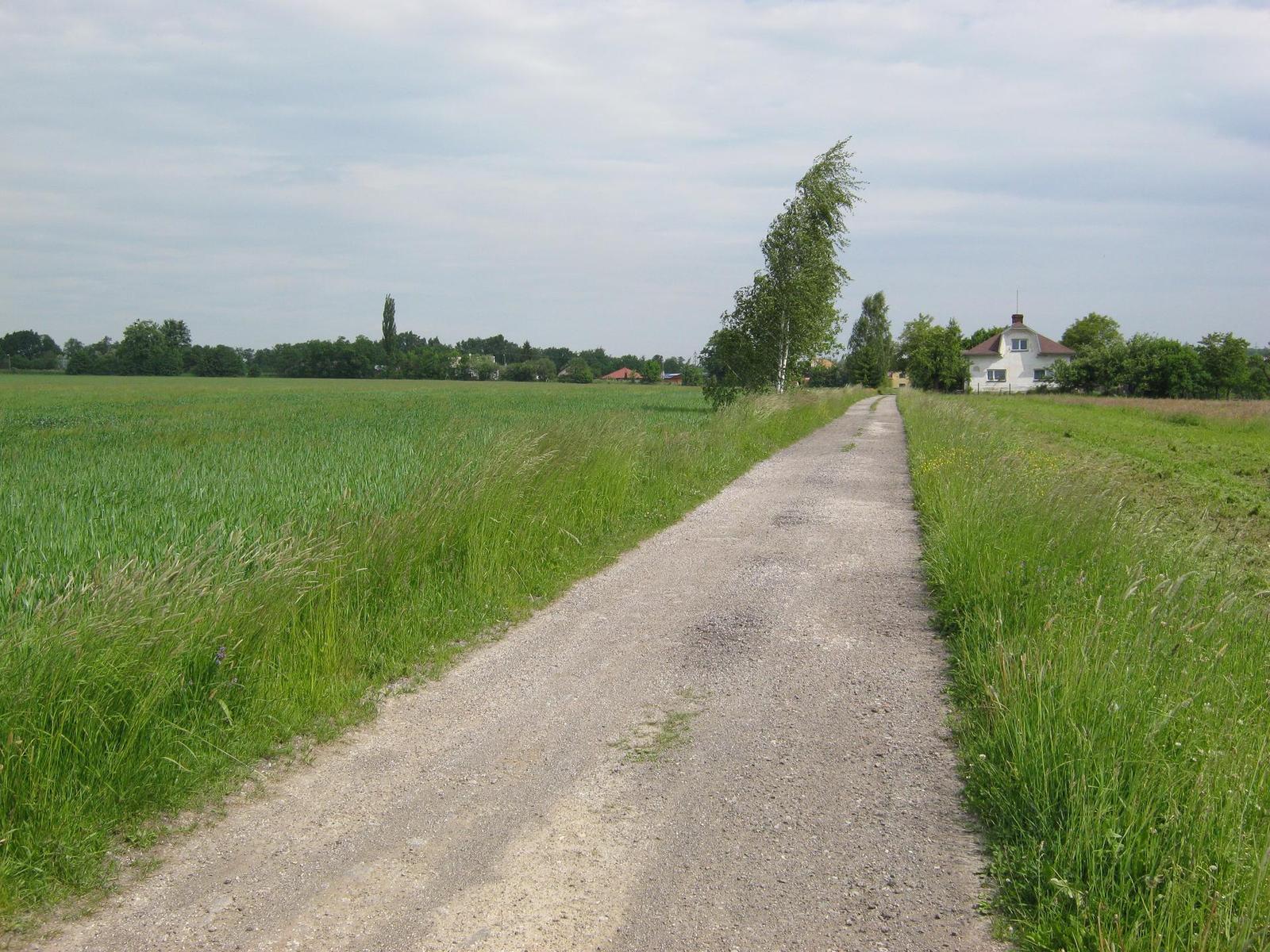 Canon PowerShot A800: šikula za pár stovek