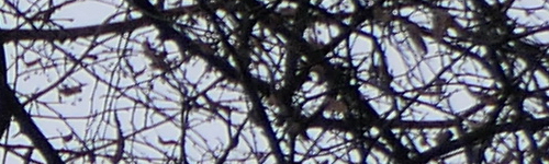 Panasonic Lumix FZ2000: ultrazoom nebo profi kamera?