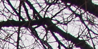 Olympus M.Zuiko Digital 14-42mm 1:3,5-5,6 II R