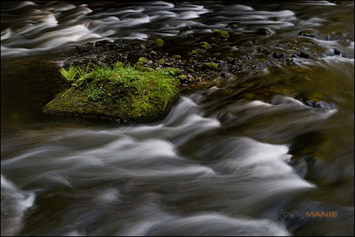 Stativ - nejlepší přítel fotografa
