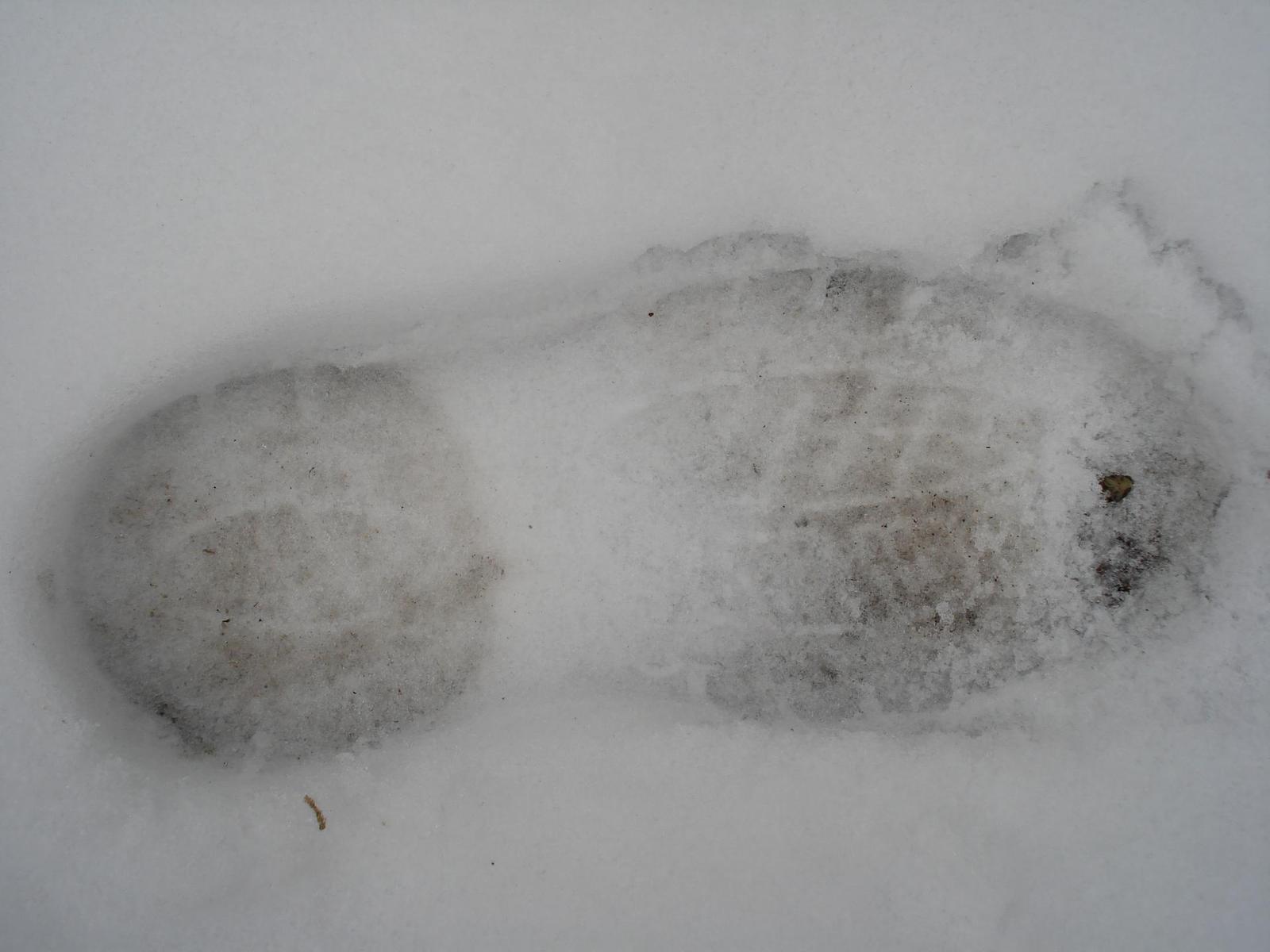 Cyber-shot DSC-W30: další kapesní citlivka