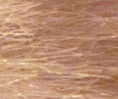 Canon PowerShot G10: stále mezi nejlepšími