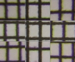 Megatest ultrazoomových objektivů