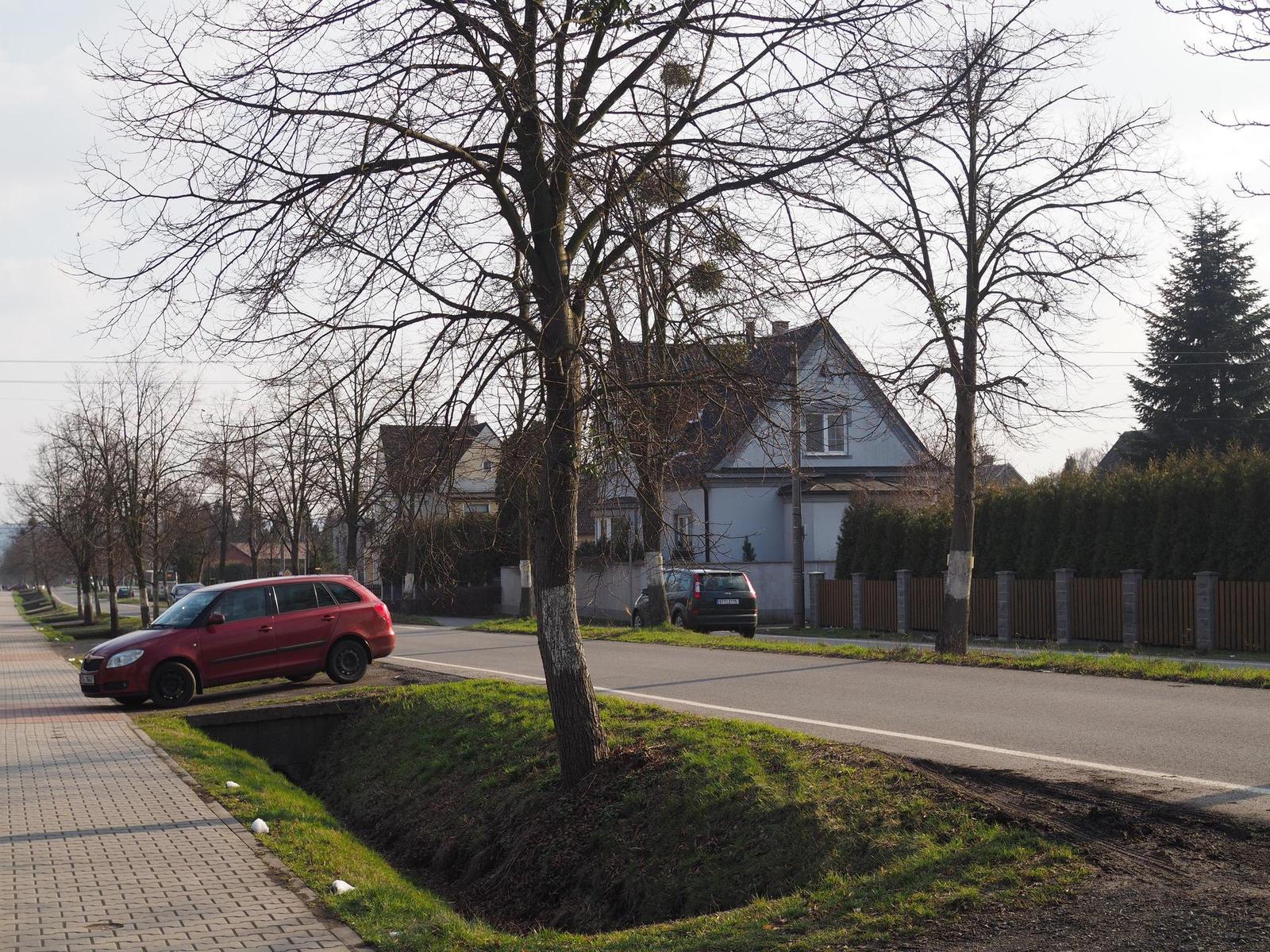 Olympus M.Zuiko Digital 25mm 1:1.8