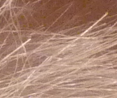 Panasonic Lumix FZ45 a FZ100: na vrcholu