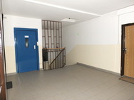 Fujifilm X-S1: jedinečný