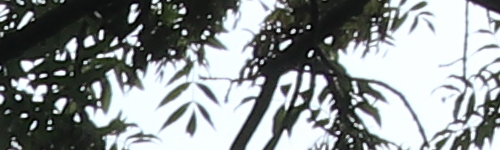 Canon EF-M 15-45mm f/3.5-6.3 IS STM