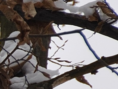 Dva objektivy nebo jeden ultrazoom?