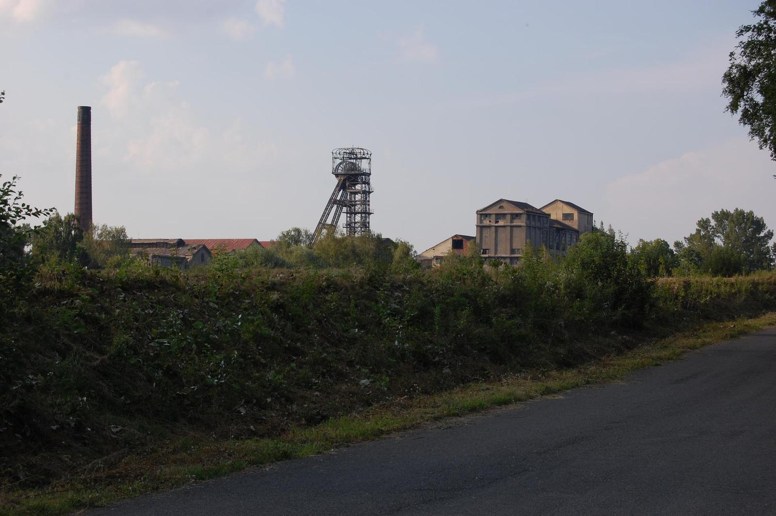 Nikon D40: levná zrcadlovka pro všechny