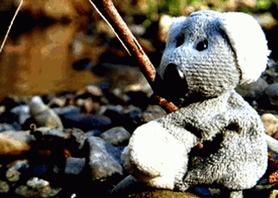 Fotíme s Koalou: Software, RAWy, obrazové formáty