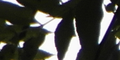 Samsung WB850F: fotící bezdrátová navigace?