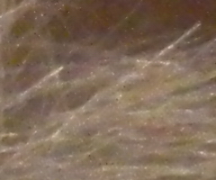 Nikon Coolpix S1100pj: kino v kompaktu