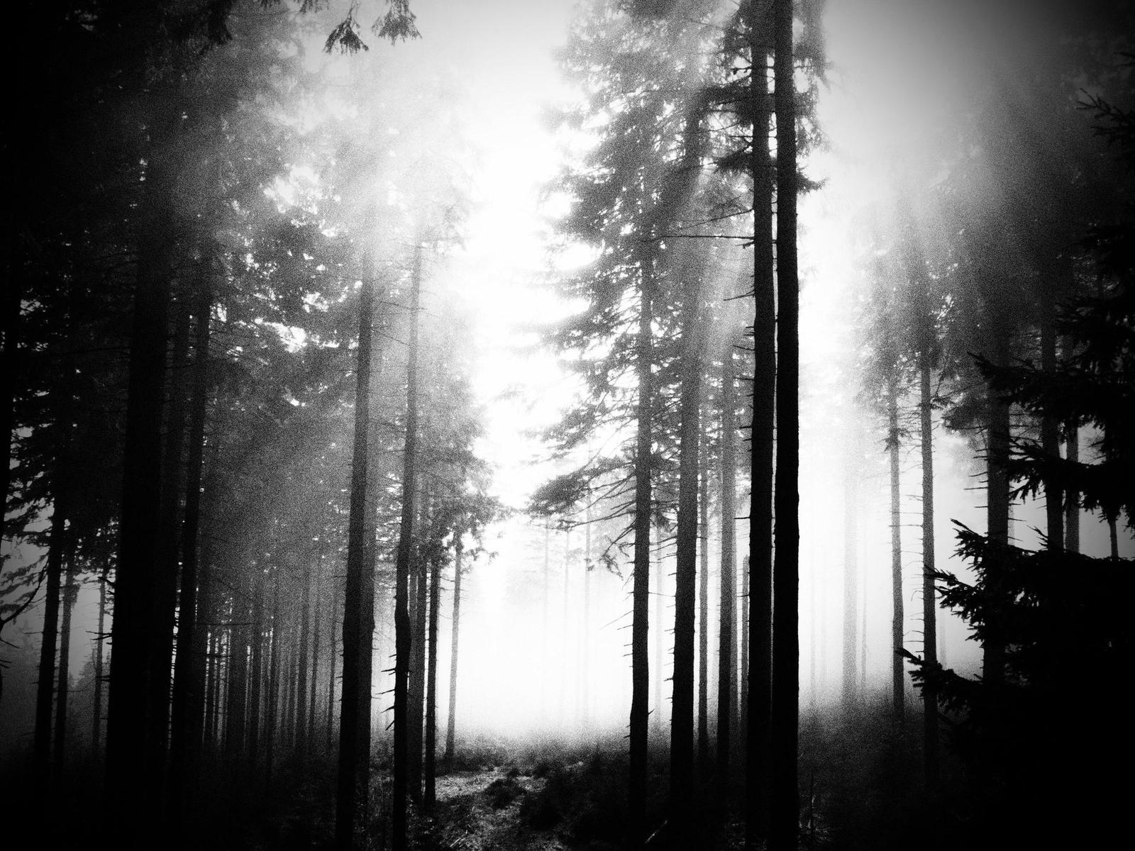 Olympus Stylus XZ-2: jednoduše skvělý